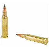VARMINT X 17HORN 20GR POLY TIP  20/10