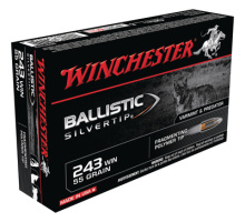 Ballistic Silvertip .243 Winchester 55 Grain