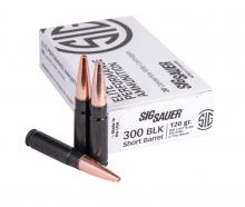 Sig Sauer E300H1-SBR-20 798681594214