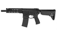 Primary Weapons Systems 22-C107RA1B-NFA 811154031068