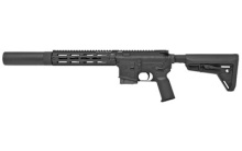 TSAR-300 Complete Rifle, Semi-automatic, 300 Blackout, 1 Magazine, Holds 10Rds, 16.1" Threaded Barrel, 5/8X24 Threads, Black Finish, XG Pro M-Lok Rail With 1.75" Inside Diameter Shroud, Magpul MOE SL Carbine Stock, Magpul MOE K2+ Grip, ALG Defense QMS Tr
