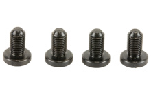 Blue, Torx Head Grip Screws 4 312B