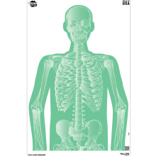 You Look Radiant EZ Aim, Paper Targets, 3 Pack, 23"X35", Green 15651