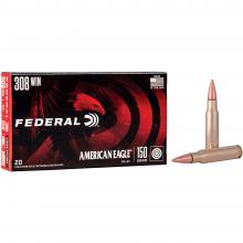 Federal AE308D 029465085339