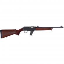 Henry Repeating Arms H27-110-WELL 619835601643