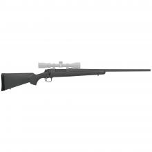 Remington R84601 810070680350