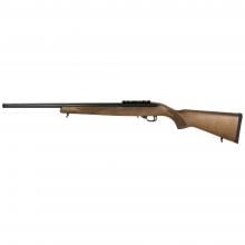Ruger 31166 736676311668