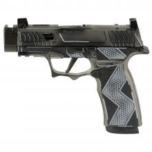 Sig Sauer 300-252-0408-04 810105519648