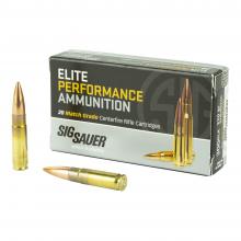 Sig Sauer E300A2-20 798681514496