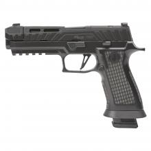 Sig Sauer P320V004 798681677351