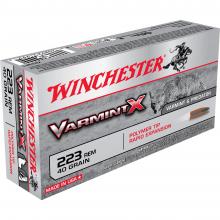 Winchester X223P1 020892219953