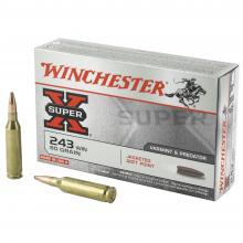 Winchester X2431 020892200319