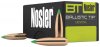 Ballistic Tip Hunting .30-30 Winchester 150 Grain Round Nose Ballistic Tip