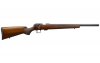 457 Varmint