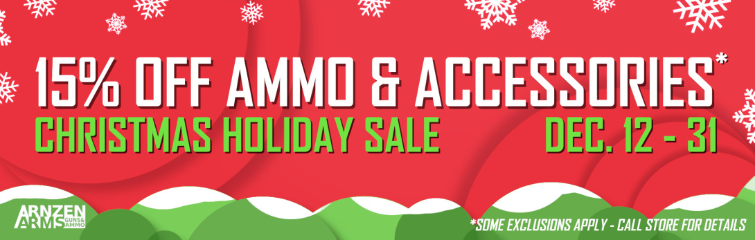 2025 Christmas Holiday Sale Banner